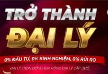 Đại lý Good79 và những lợi ích nhận được khi tham gia Trách nhiệm của 2 bên nhà cái và đại lý Good79